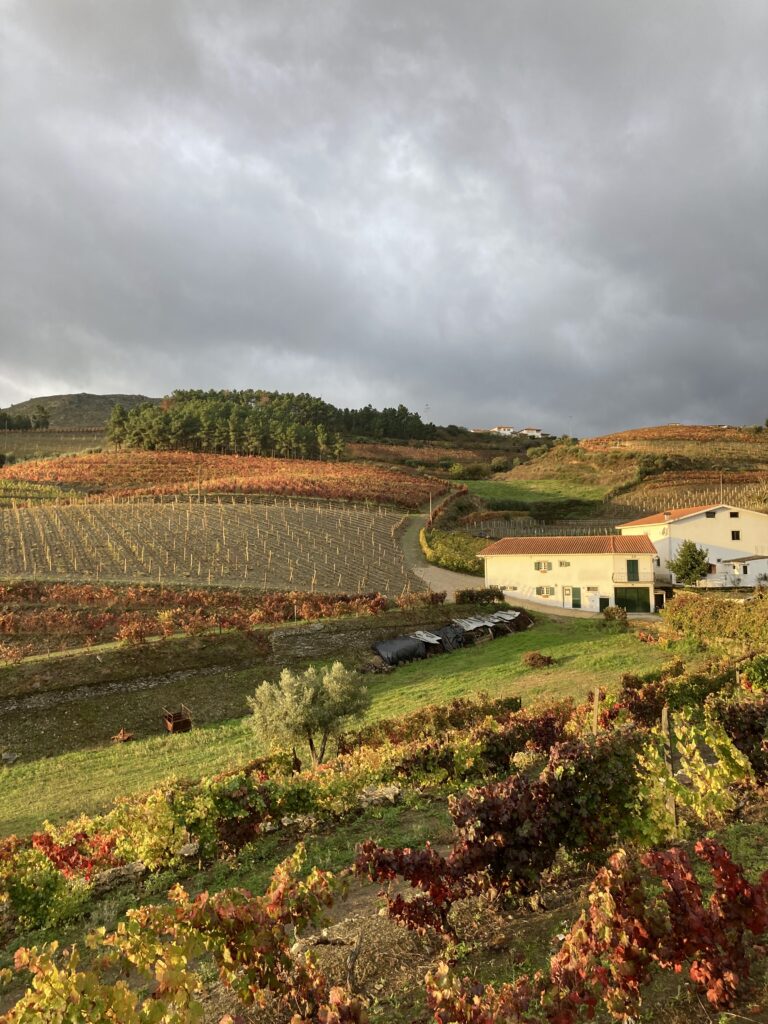 Quinta da Padrela, Portugal
