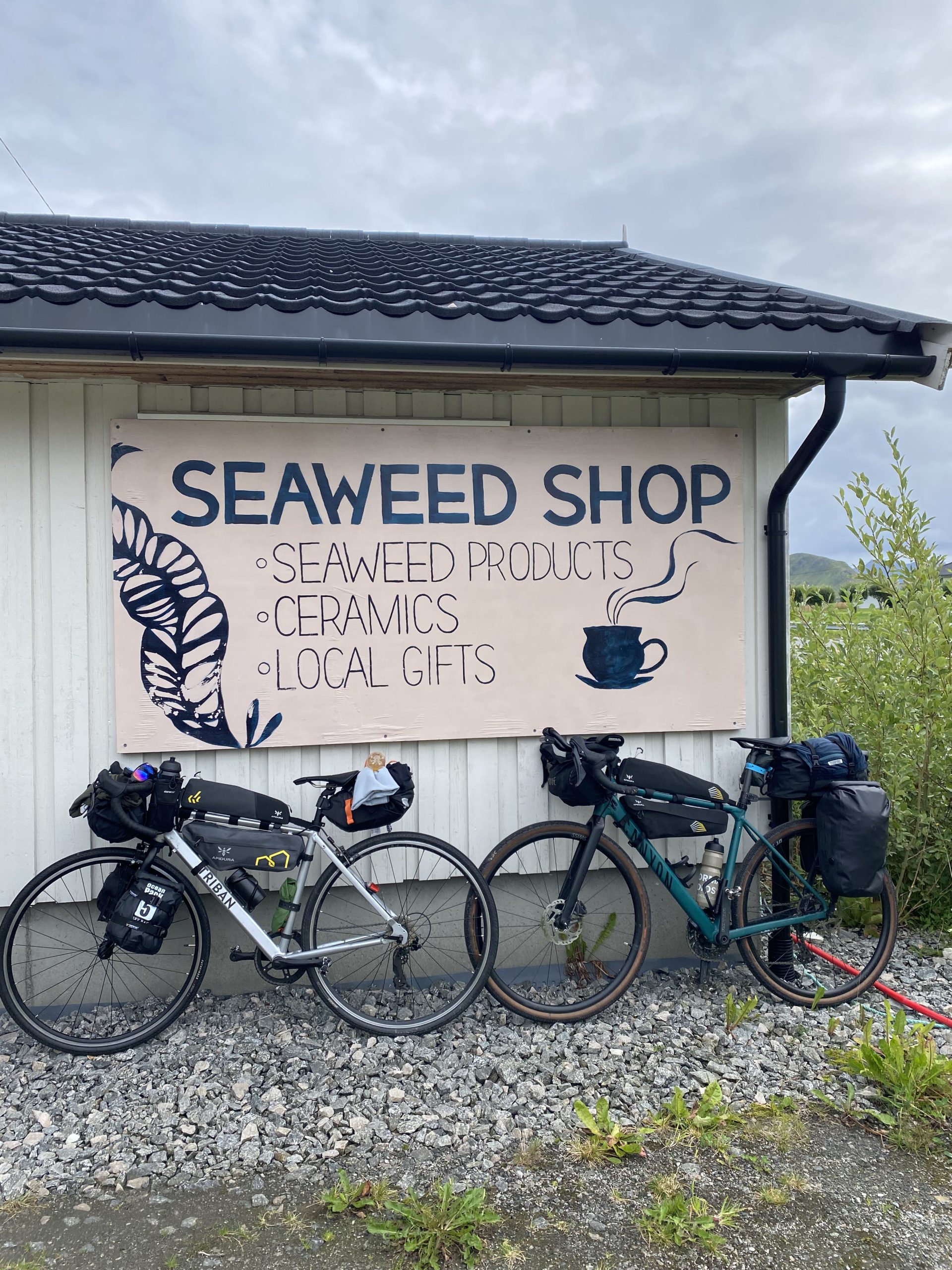the seaweed shop we stumbled upon cycling the lofoten islands